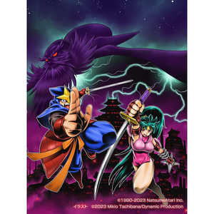 ł̎dlKAGE Shadow of the Ninja [PS4]