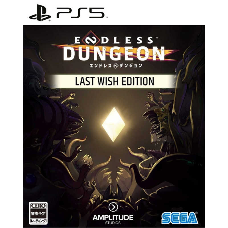 セガゲームス セガゲームス PS5ゲームソフト ENDLESS Dungeon  