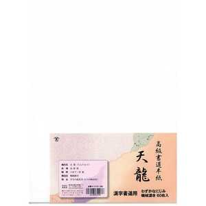 志昌堂 半紙60枚 テンリュウ K0106