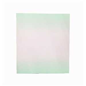 志昌堂 大色紙 画仙ボカシ 草 SK736