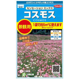 サカタのタネ 実咲 景観用大袋 コスモス センセーションミックス 905906