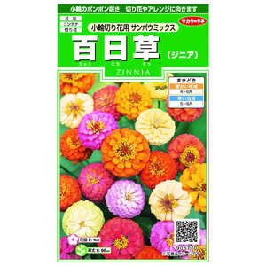 サカタのタネ 実咲 百日草 小輪 切り花用サンボウミックス 906770