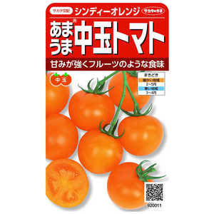 サカタのタネ 実咲 あまうま中玉トマト(オレンジ) シンディーオレンジ 920011