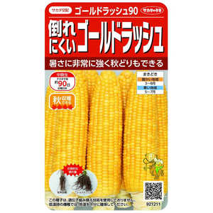 サカタのタネ 実咲 倒れにくい ゴールドラッシュ90 921211 サカタのタネ 実咲 倒れにくい ゴールドラッシュ90 921211