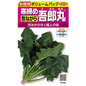 Υ º Ϻݤۤ () 923506