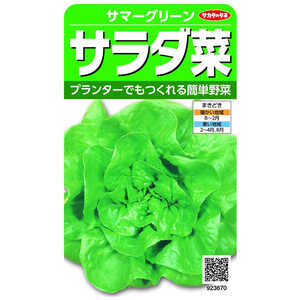 サカタのタネ 実咲 サラダ菜 サマーグリーン 923670