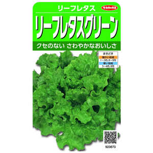 TJ^̃^l  [t^XO[ [t^X 923673