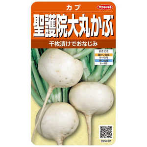 Υ º ݤ 925472