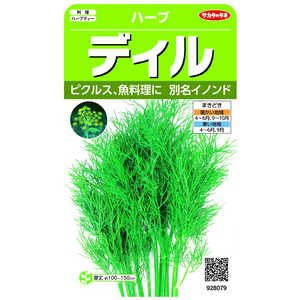 サカタのタネ 実咲 ハーブ ディル(イノンド) 928079
