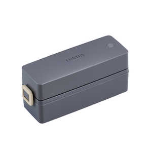 アスベル Cランタス SS-T600N GY グレー A3541 アスベル Cランタス SS-T600N GY グレー A3541