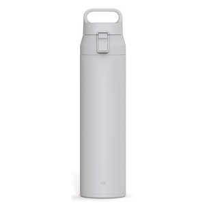 アスベル 水筒 700ml プラスエーハンドル付きステンレスワンプッシュボトル ライトグレー 496250