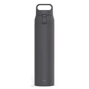 アスベル 水筒 700ml プラスエーハンドル付きステンレスワンプッシュボトル ブラック 496251