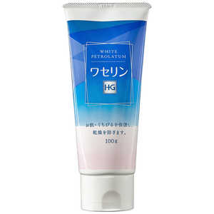 大洋製薬 ワセリンHGチューブ 100g ワセリンHGチユーブ100G
