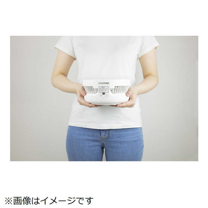 ゼピール ゼピール 充電式DCサーキュレーター ［DCモーター搭載 /リモコン付き］ DJS-E314P DJS-E314P