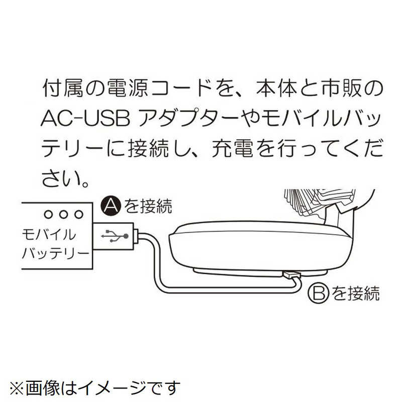 ゼピール ゼピール 充電式DCサーキュレーター ［DCモーター搭載 /リモコン付き］ DJS-E314P DJS-E314P