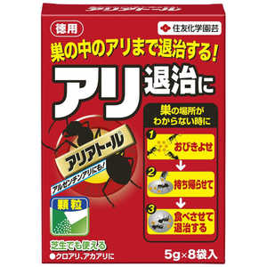 �A���A�g�[�� 5g×8�ܓ�