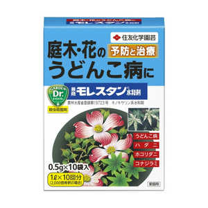 ZFw| X^a 0.5g×10 Eۍ 2055139