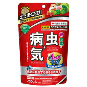 住友化学園芸 ベニカXガード粒剤 250g 2055173