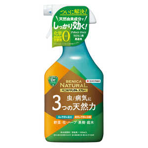 ��ͧ���ر�� �٥˥� �ʥ����륹�ץ졼 1000ml 604266