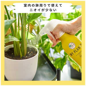 住友化学園芸 MY PLANTS コバエを退治するミスト 250ml MYPLANTSコバエヲタイジスルミ 住友化学園芸 MY PLANTS コバエを退治するミスト 250ml MYPLANTSコバエヲタイジスルミ