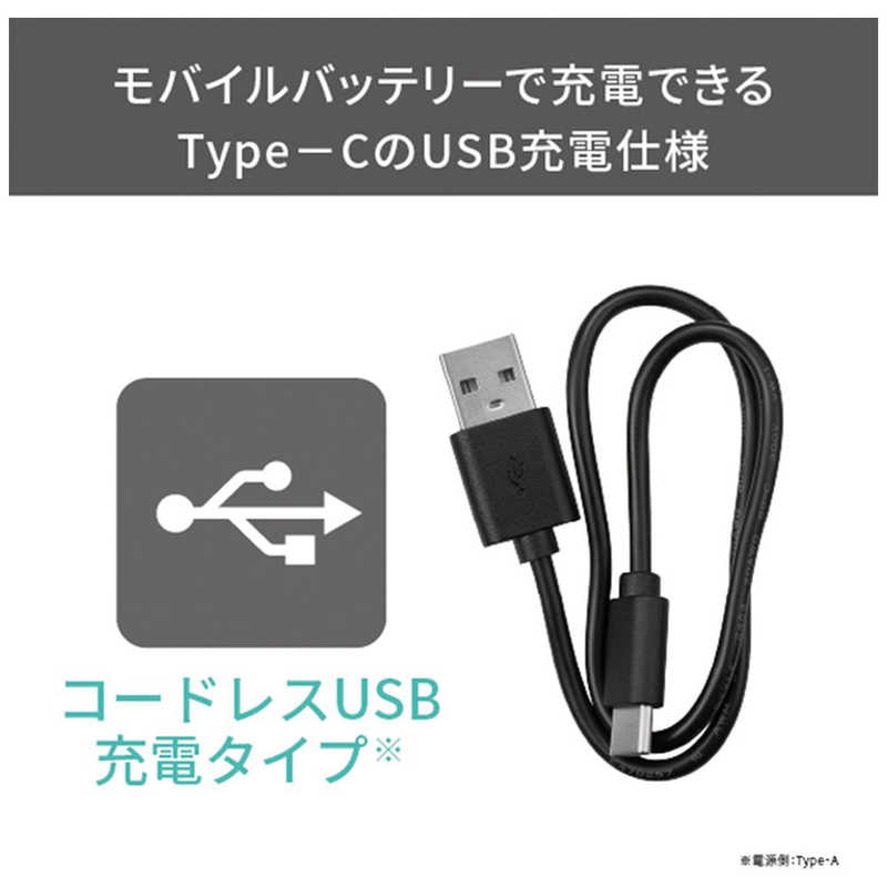 テスコム テスコム USB充電式フェイスシェーバー ホワイト TK352B-W TK352B-W
