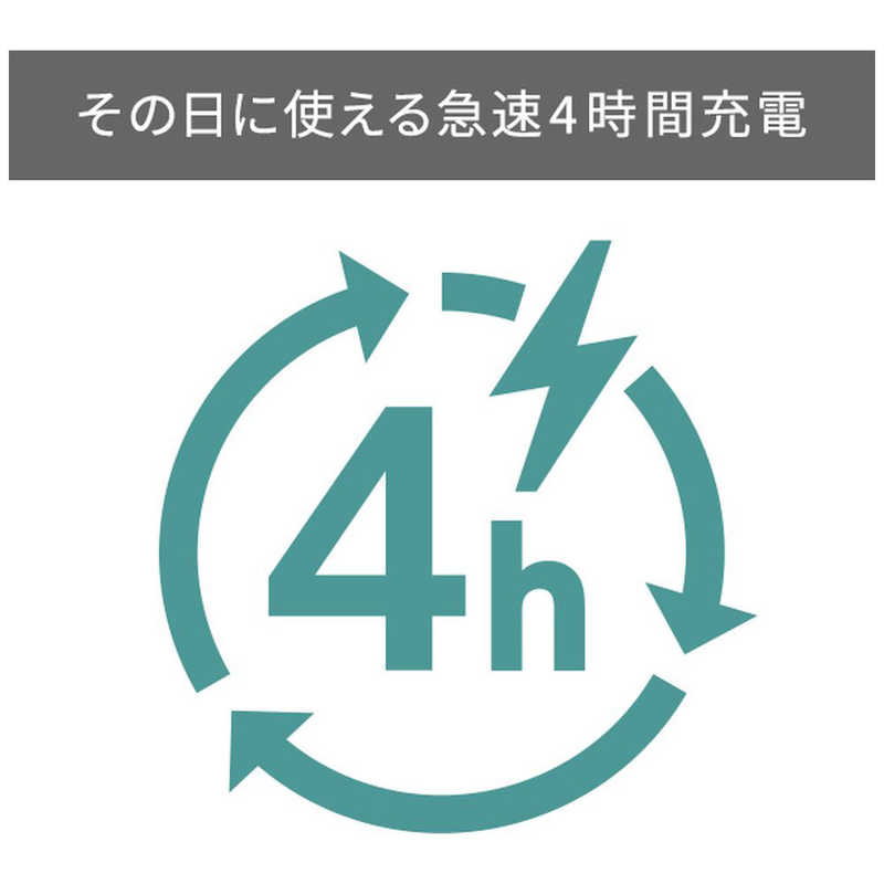 テスコム テスコム ヘアカッター･バリカン 充電交流式 ブラック [交流充電式] TT490A-K  TT490A-K 