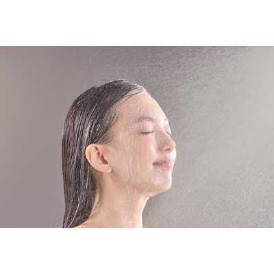 タカギ キレイストシャワーミスト JS470MWH の通販 - カテゴリ：日用品