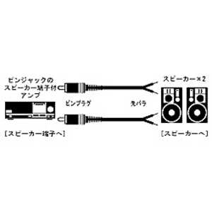 JVC AV ԥץ饰Х饹ԡ֥(21) (3.0m) CN-158A