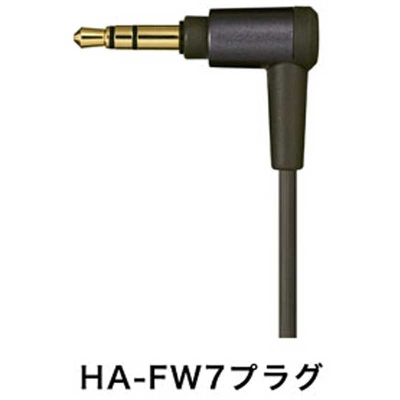 JVC JVC イヤホン カナル型 ブラウン [φ3.5mm ミニプラグ] HA-FW7-T HA-FW7-T