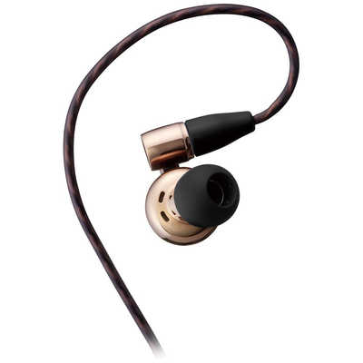 Victor イヤホン カナル型 WOOD [φ3.5mm ミニプラグ] HA-FW10000 の