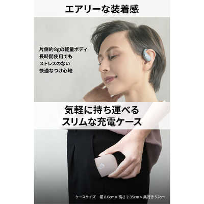 Victor 完全ワイヤレスイヤホン Victor [ ワイヤレス ( 左右分離