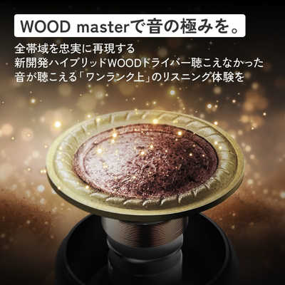 Victor フルワイヤレスイヤホン WOOD master ［ワイヤレス(左右分離
