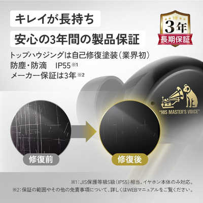 Victor フルワイヤレスイヤホン WOOD master ［ワイヤレス(左右分離