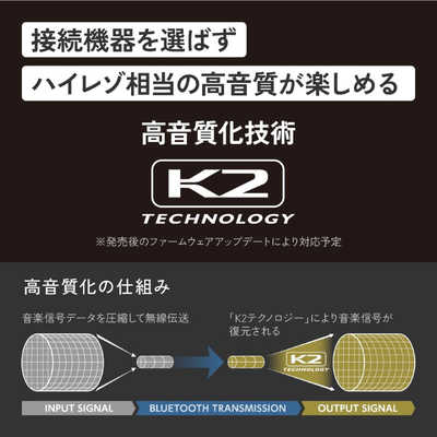 Victor フルワイヤレスイヤホン WOOD master ［ワイヤレス(左右分離