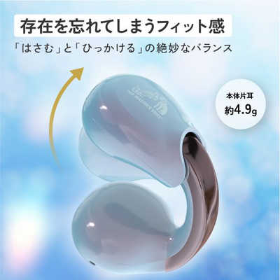 Victor フルワイヤレスイヤホン ［ワイヤレス(左右分離
