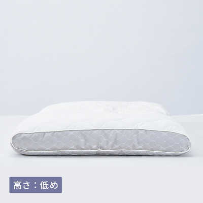 西川 ファインクオリティプレミアムエラストマーパイプ枕 L