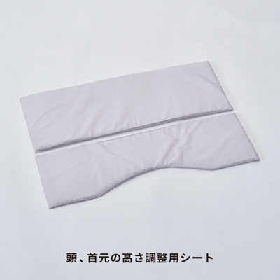 西川 ファインクオリティプレミアムエラストマーパイプ枕M (ふつう