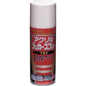 �˥åڥۡ���ץ������� ��������å������ץ졼TRY 300ml ���祳�졼�� 222T018300 ��������å������ץ졼TRY300M