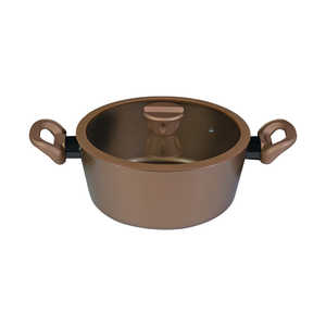 �p�[������ VISIONS GOLD Coating IH�Ή��V�`���[�|�b�g24cm �mIH�Ή��n CP-8810