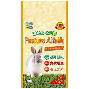 ハイペット パスチャーアルファルファ 400g ハイペット パスチャーアルファルファ 400g