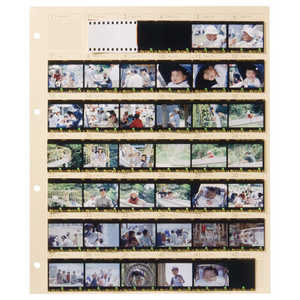 ハクバ (アルバム替台紙) ネガフォトアルバム 替台紙 35mm ANP-SS35 ハクバ (アルバム替台紙) ネガフォトアルバム 替台紙 35mm ANP-SS35
