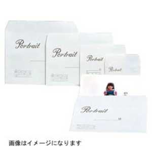 ハクバ 写真袋 大8切 100入 シャシンブクロダイ8キリ ハクバ 写真袋 大8切 100入 シャシンブクロダイ8キリ
