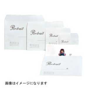 ハクバ 写真袋 グランド キャビネ 100入 シャシンブクログランドキャビネ ハクバ 写真袋 グランド キャビネ 100入 シャシンブクログランドキャビネ