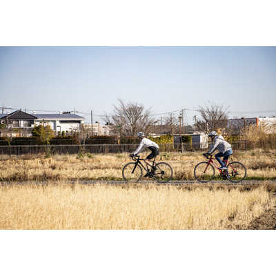 NESTO ロードバイク FALAD PRO 465mm [16段変速(2×8