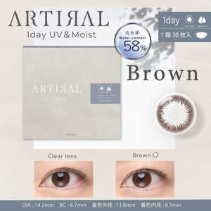 粧美堂 (度あり/-4.00) アーティラル ワンデー UV＆モイスト 58％ ブラウン (BC8.7/DIA14.2) 30枚入 カラコン 