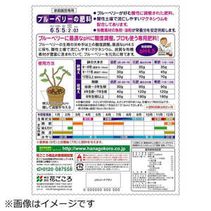 花ごころ ブルーベリーの肥料 1.2kg 2057640