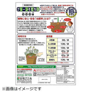 花ごころ IBのチカラグリーンそだちEX 1.4kg 2057639