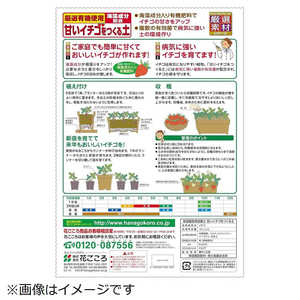 花ごころ 甘いイチゴをつくる土 12L 2057638