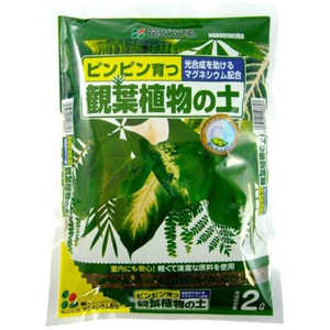 花ごころ 観葉植物の土 2L カンヨウショクブツノド 花ごころ 観葉植物の土 2L カンヨウショクブツノド