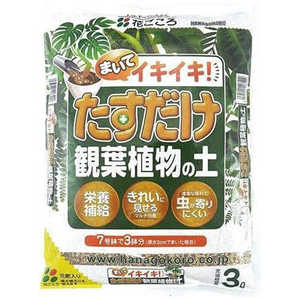 花ごころ たすだけ観葉植物の土 3L タスダケカンヨウショクブツノド 花ごころ たすだけ観葉植物の土 3L タスダケカンヨウショクブツノド